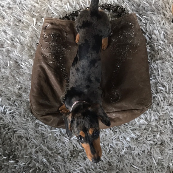 Thomas Wylde Colossal Scorpion Purse - Picture 4 of 8